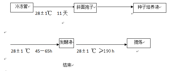 微生物發(fā)酵流程圖