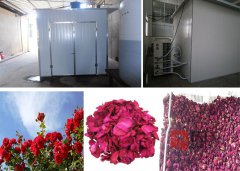 鮮花烘干房解決方案