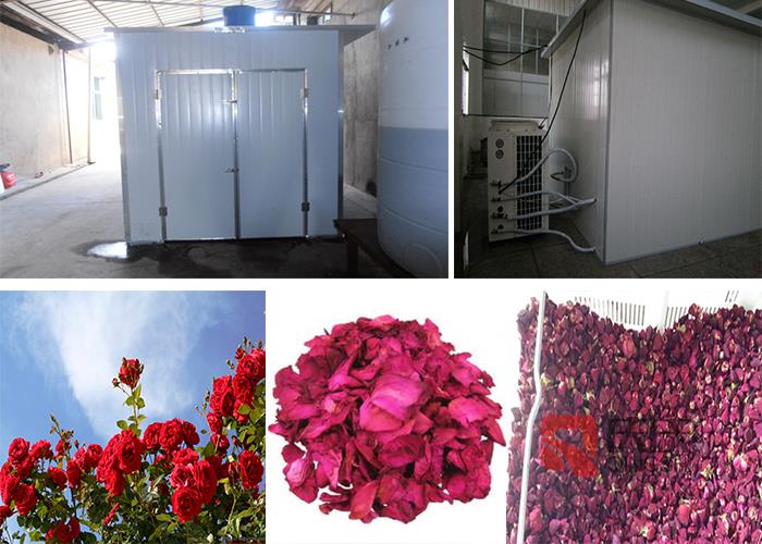 鮮花烘干房